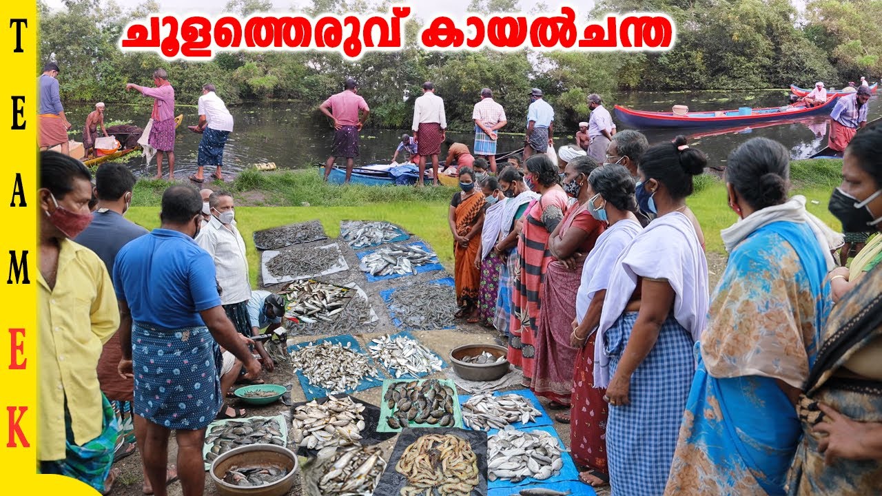 നല്ല കായൽമീൻ വേണോങ്കി  വാ😊പക്ഷെ  കരിമീനിൻ്റെ  വില കേട്ട്  ഞങ്ങളെ ചീത്ത പറയരുത് 😉| Team kollam