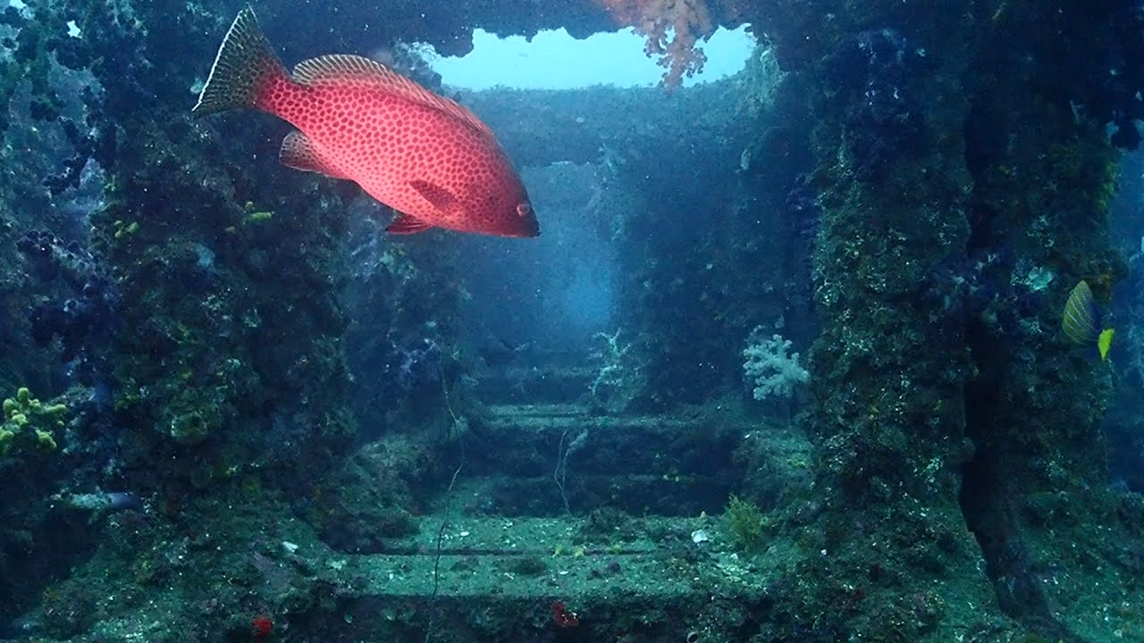 21 房総波左間ポイントドリーム Youtube 21 房総波左間ポイントドリーム Youtube