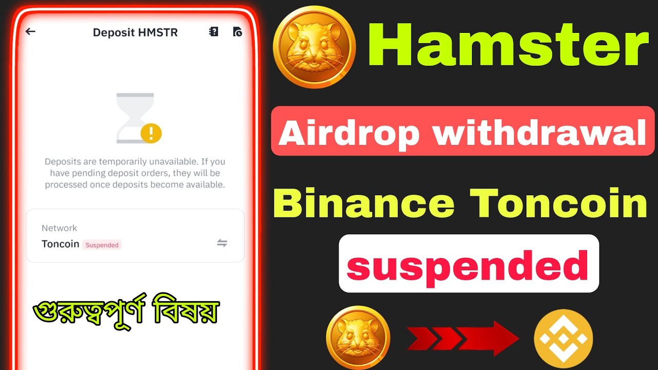 1 Hmstr To Usd Binance