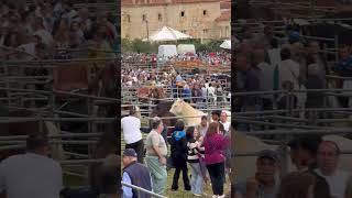 El Ferial de la Feria de San Lucas 2025