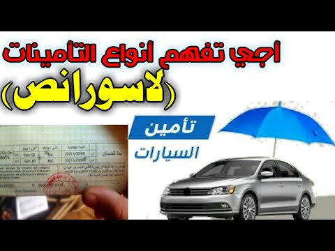 فيديو: ماذا يعني التووريزم؟