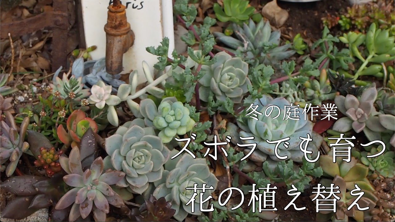 花の植え替えと庭作業 ズボラでも植物が育つ土づくり Youtube