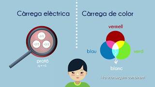 Quarks Els Maons De La Matèria