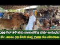 200     8      90   2500  gir cow farming in kannada