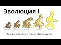 15.1 Эволюция часть I (9 или 10-11 класс) - биология, подготовка к ЕГЭ и ОГЭ 2018