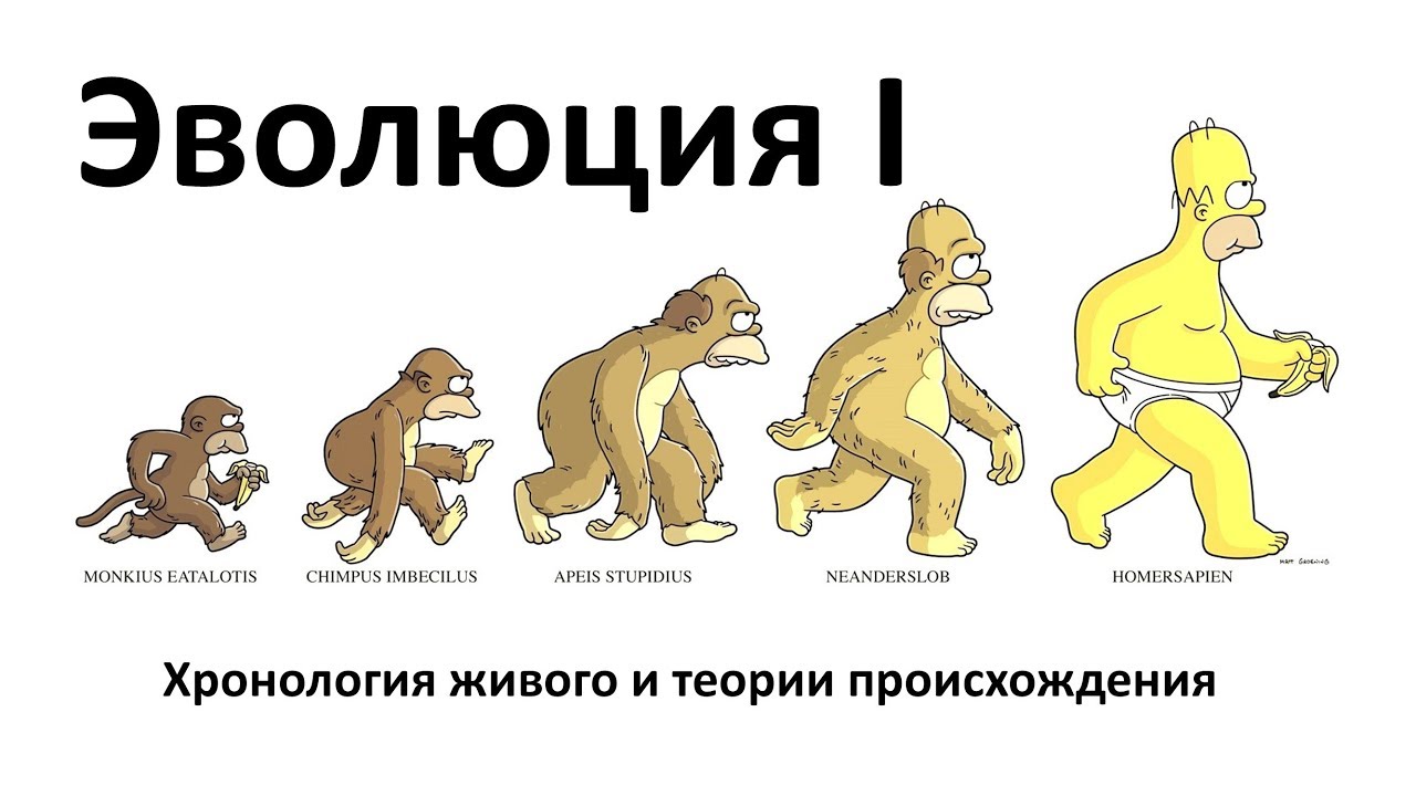 15.1 Эволюция часть I (9 или 10-11 класс) - биология, подготовка к ЕГЭ и ОГЭ 2018