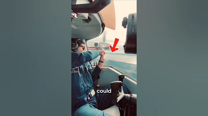 飛行機に乗っているときは手を出さないでください😯