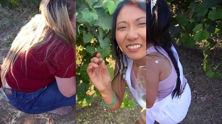 Malibu Wine Safari | Jennifer's Bachelorette