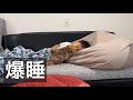 【爆睡】そんなことはお構いなしw
