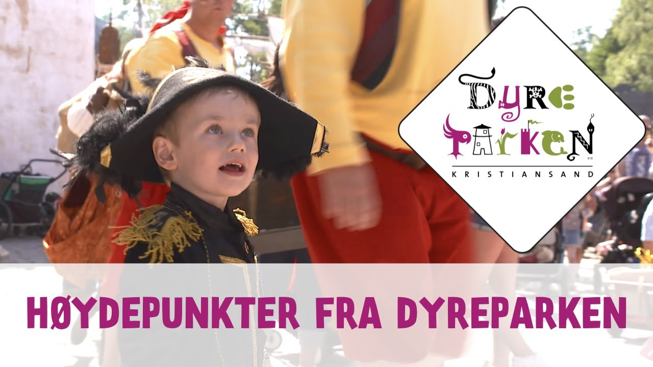 Minner for livet | Høydepunkter fra DYREPARKEN