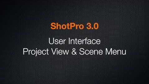 User Interface Project View & Scenes Menu