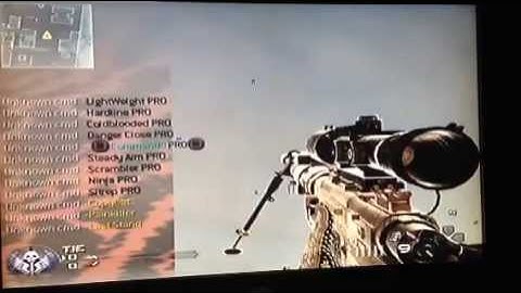 {Mw2/CFG} xLeftyModz