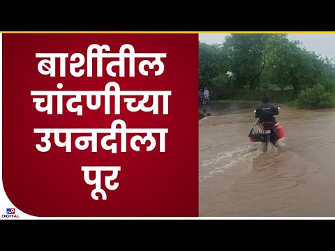 Solapur Chandni River Flood| बार्शीतील चांदणी उपनदीला पूर, अनेक गावांचा संपर्क तुटला- tv9