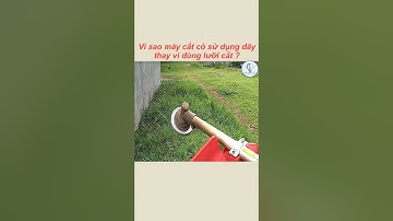 Vì sao máy cắt cỏ dùng dây thay vì dùng lưỡi cắt ? l KIẾN THỨC VÔ TẬN #shorts