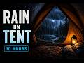 Rain on Tent Sounds for Deep Sleep • Black Screen • 10 Hours