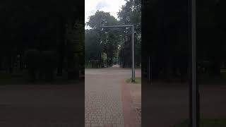 Брест парк культуры и отдыха