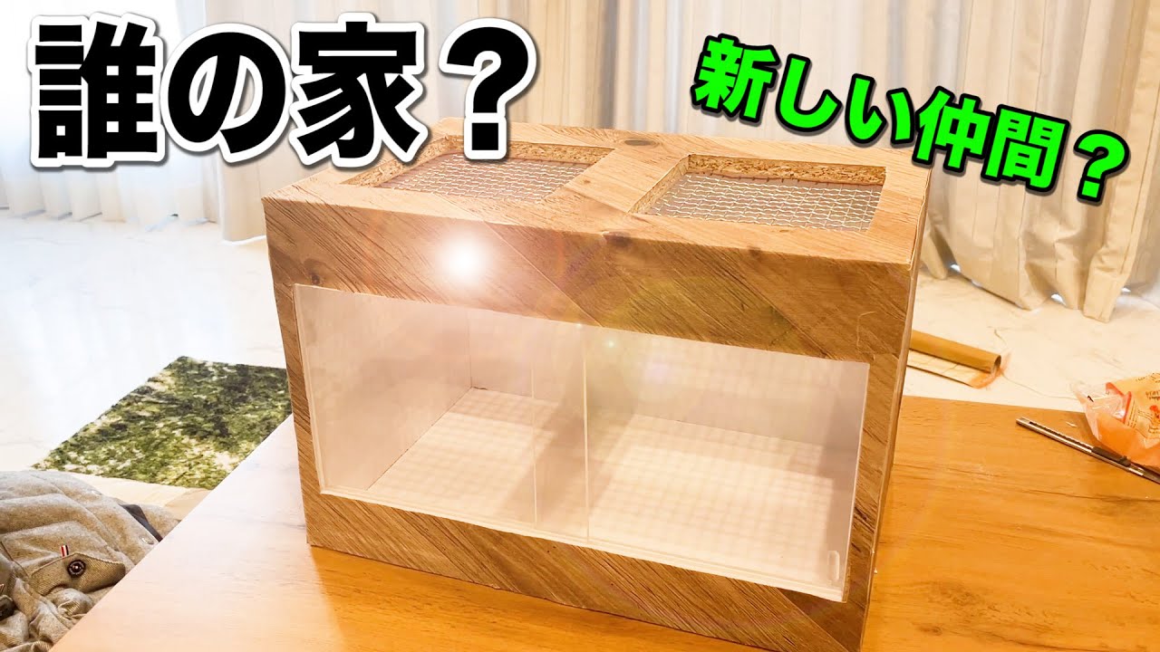 新しくお迎えする動物のために手作りの家をカスタムしました。 - YouTube