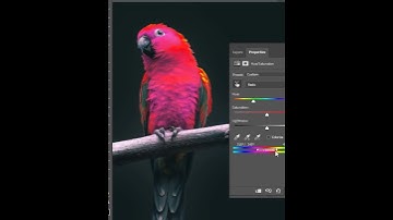 Trick To Change Specific Colors - Short Photoshop Tutorial