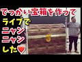 【71】LIVEでデッカイ宝箱を手作りしてサプライズしてみた!♪cat songs「猫マヤー」/(2018年2月@高知オレンジホール)ジャアバーボンズ(JaaBourBonz)