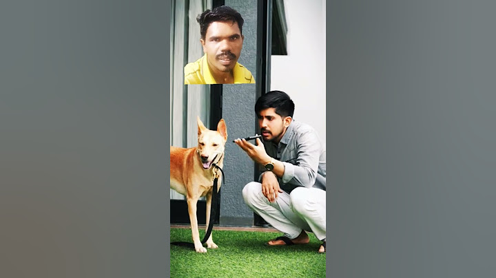 Power of A.I. 🐶😂 | Kuldeep Singhaniaa #shorts