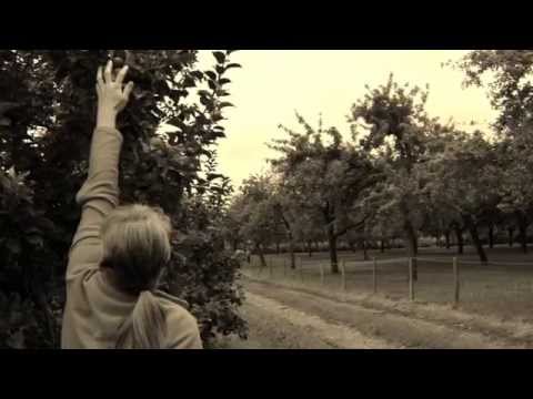 Sheppy's Cider Farm