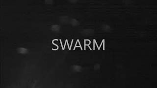 SWARM