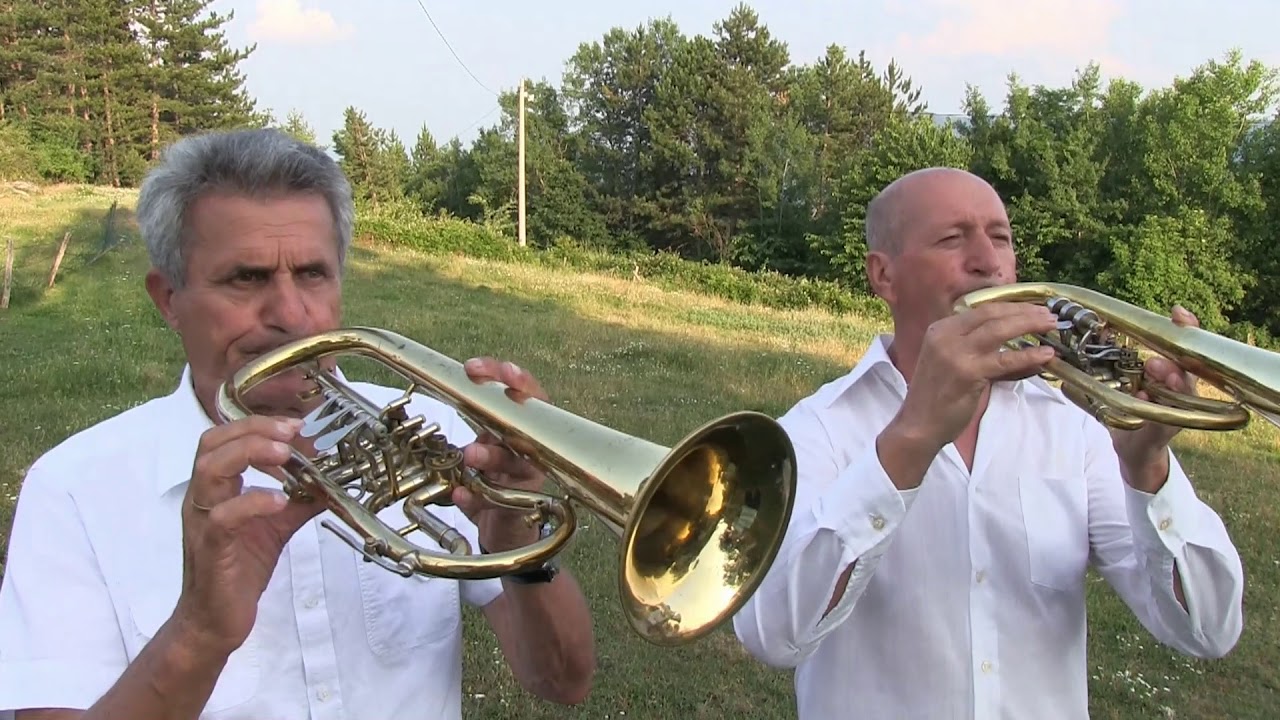 Orkestar Slobodana Nikitovica Kosjeric Nema raja bez rodnoga kraja