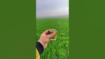 #اكسبلور #القرآن_الكريم #دويتو #تلاوة_خاشعة #تيك_توك #لايك ♥️