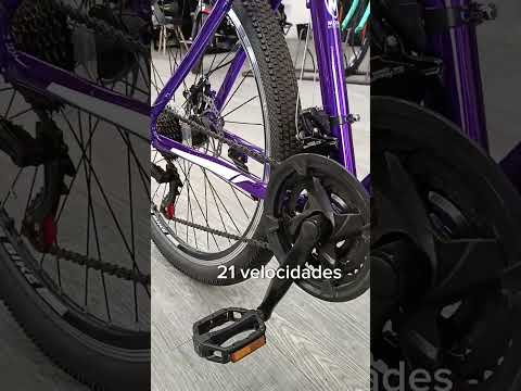 Bicicleta Montaña Rodada
