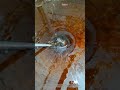 Magical sesame oil extraction method, see how the craftsman operates it!
