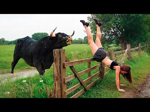 Best Farm Life Fails 🚜🐄 Farm Animal & Tractor Fails