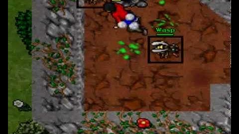 Tibia Rookgaard Trap lvl 98 Dead in Rookgaard By Hippo Ckun  