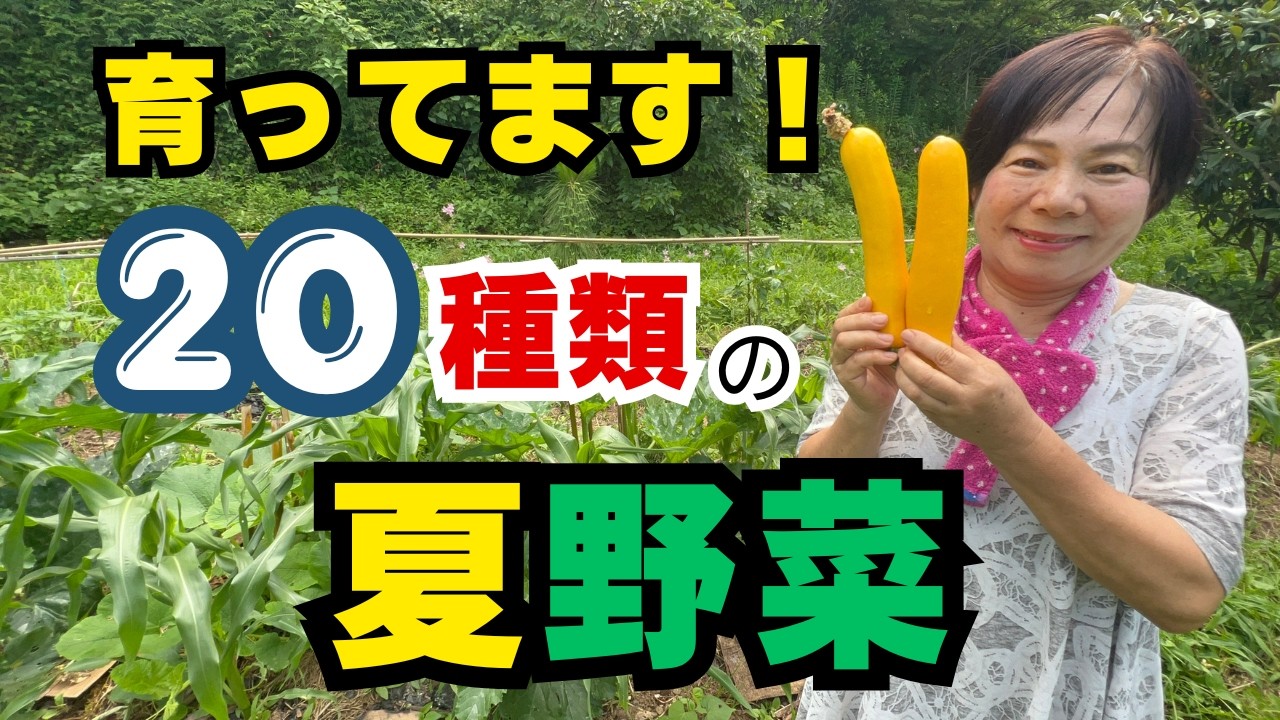 An Update on My Summer Vegetables: You Have to See How Big My