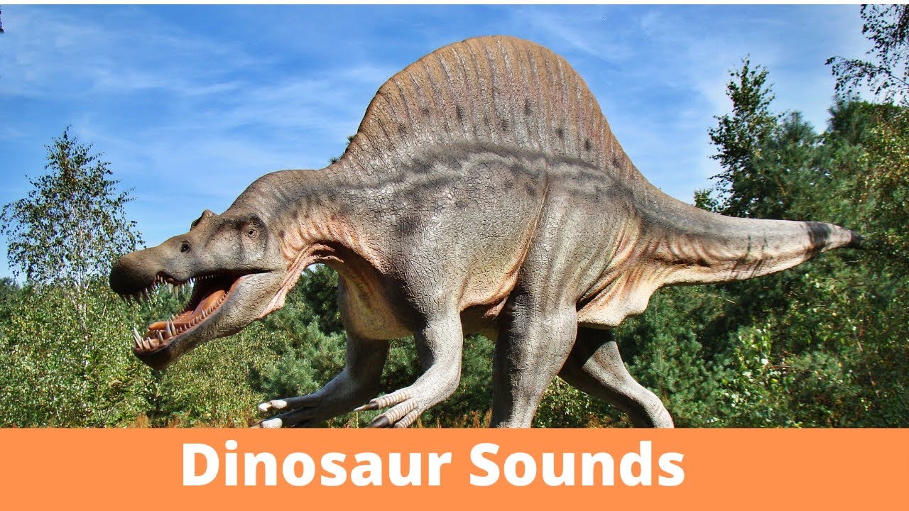 Dinosaur Sound Effects Dinosaur Sounds Youtube
