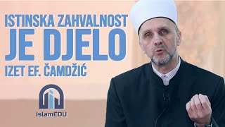 IZET EF. ČAMDŽIĆ: ISTINSKA ZAHVALNOST JE DJELO