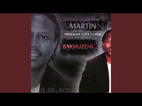 Bakhuzeni