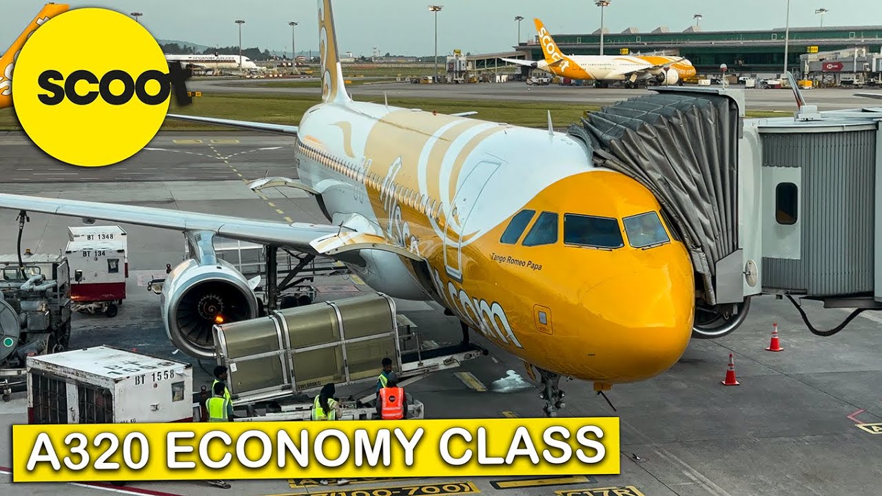SCOOT A320ceo on a Short Flight - Is Flying Economy Worth It?