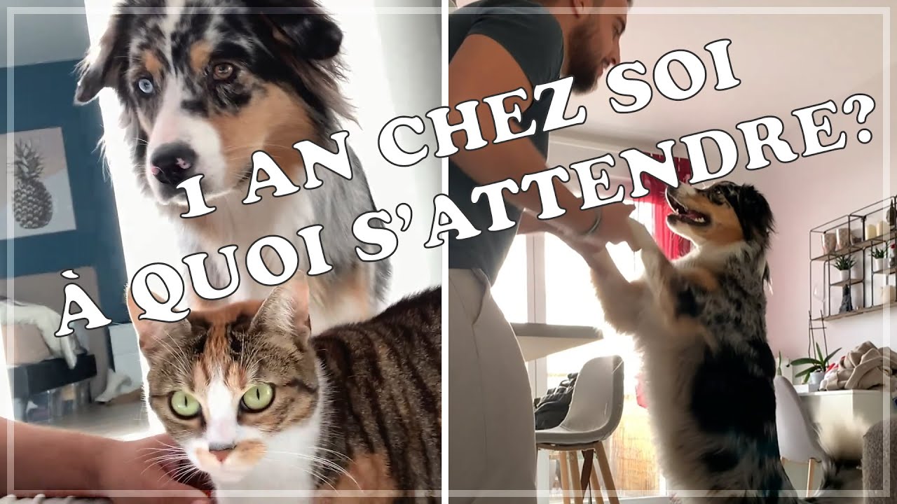 1 An De Berger Australien Chez Soi à Quoi Sattendre Surprise