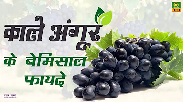 काले अंगूर के बेमिसाल फायदे | Health Benefits of Eating Black Grapes |