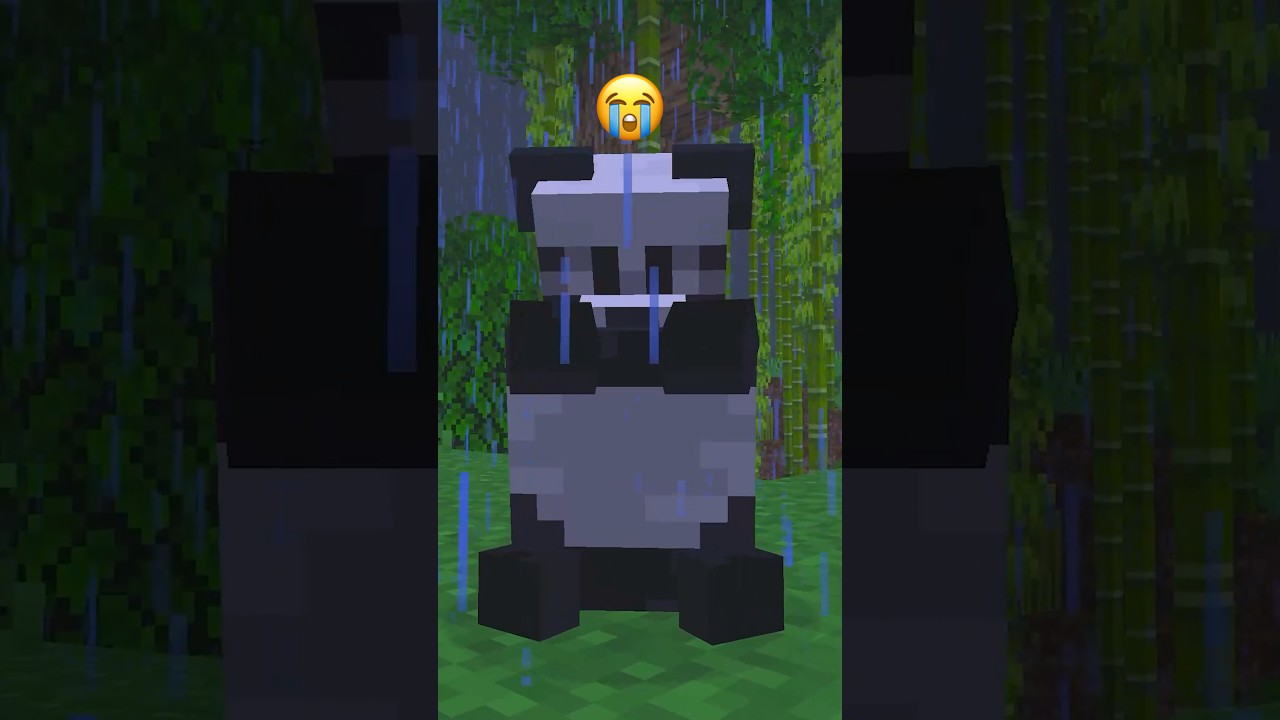 PANDA TRISTE 😭