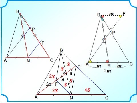 Задание 24 Отношение площадей 3 способа решения