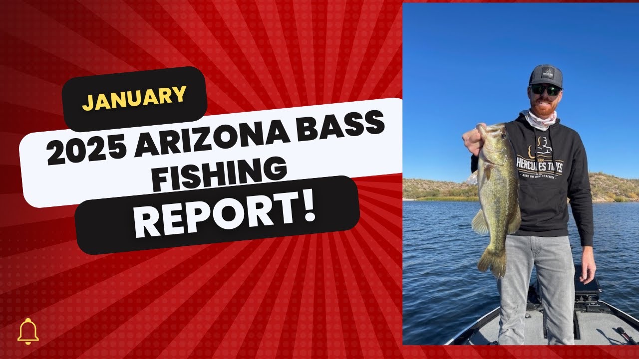 January 2025 Arizona Bass Fishing Report
