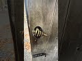 Die Hand als Türklinke ✋ | Ein einzigartiges Detail in der Kathedrale