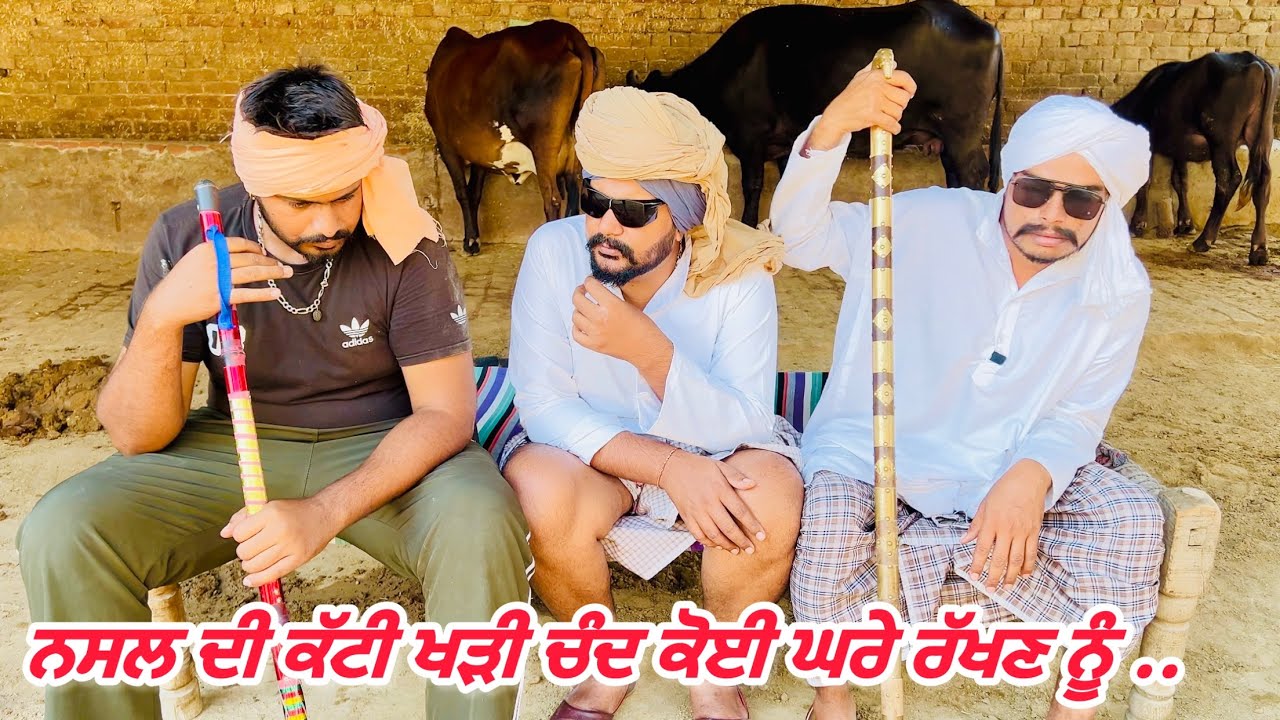 ਚੰਦ ਝੋਟੀ ਚੰਗੀ ਸੀ ਥਣਾ ਬਨਿਓ ਮਾਰ ਖਾਗੀ, ਇਹ ਤਾ ਕੱਟਾ ਕੰਜਰ ਦਿਆ .. //new video jatt babe bandra to 