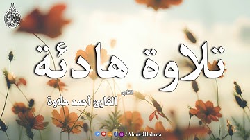 تلاوة هادئة جدا ساعه من القران الكريم بصوت  القارئ أحمد حلاوة HD