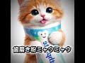 歯磨き粉ミャウミャウwww