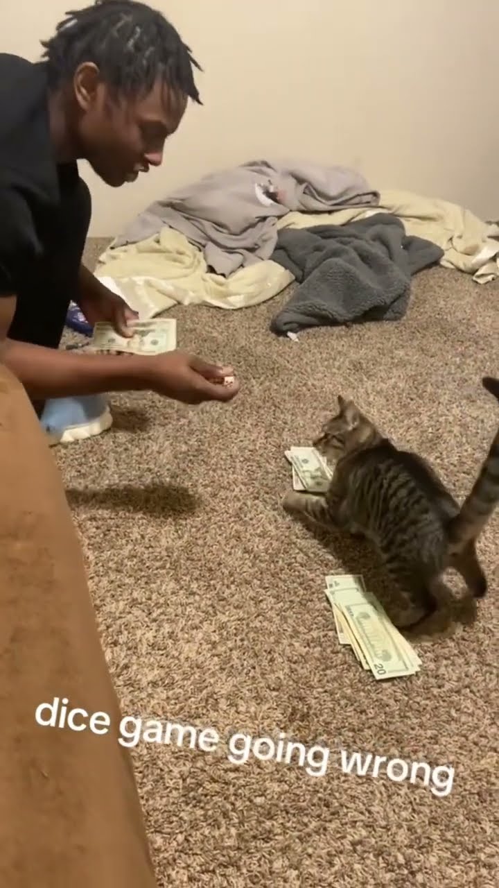 Kittyo like yeah it’s dice that’s wild