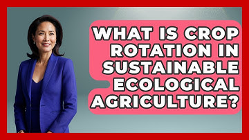 What Is Crop Rotation In Sustainable Ecological Agriculture? - Explaining Ecology