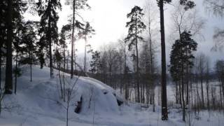 Video thumbnail of "Revontulitanssi"