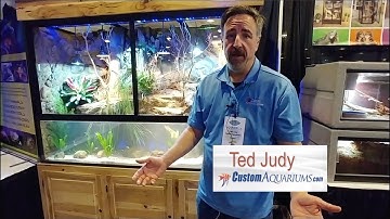 Custom Aquariums
